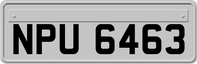 NPU6463