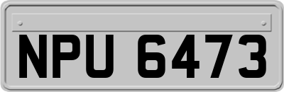 NPU6473