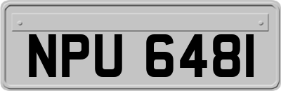 NPU6481