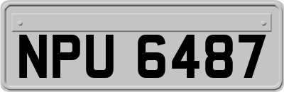 NPU6487