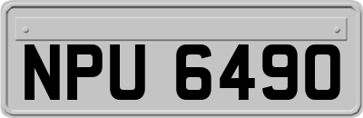 NPU6490