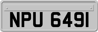 NPU6491