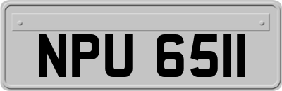 NPU6511
