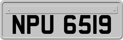 NPU6519