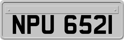 NPU6521