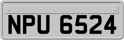 NPU6524