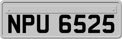 NPU6525