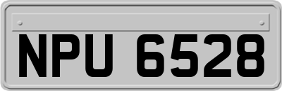NPU6528