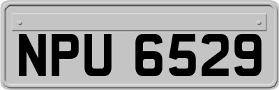 NPU6529