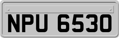 NPU6530