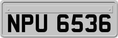 NPU6536