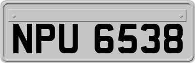 NPU6538