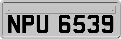 NPU6539