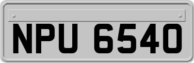 NPU6540