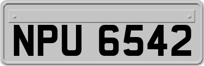 NPU6542