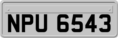 NPU6543