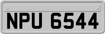 NPU6544