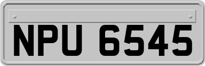 NPU6545