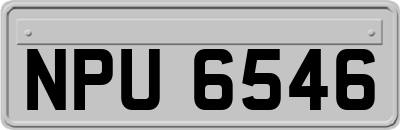 NPU6546