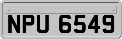 NPU6549