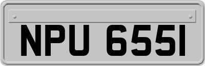 NPU6551