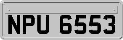 NPU6553