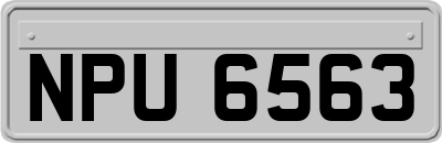 NPU6563