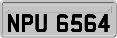 NPU6564
