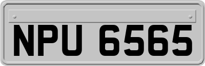 NPU6565