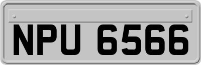 NPU6566