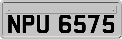 NPU6575