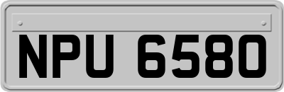 NPU6580