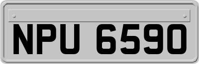 NPU6590