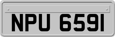 NPU6591