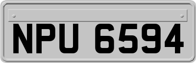NPU6594