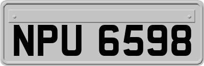 NPU6598