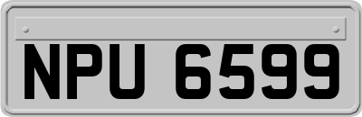 NPU6599