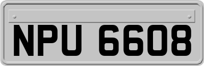 NPU6608
