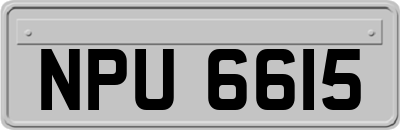 NPU6615