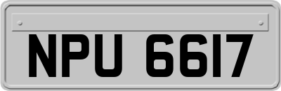 NPU6617