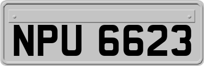 NPU6623