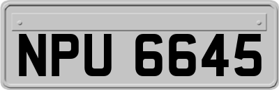 NPU6645