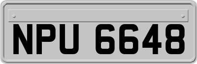 NPU6648