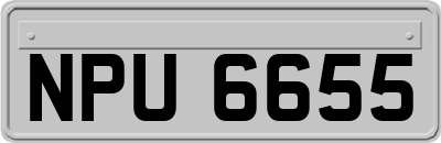 NPU6655