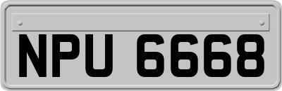 NPU6668