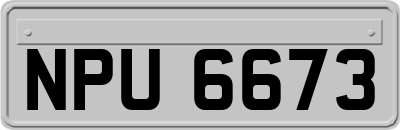 NPU6673