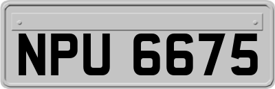 NPU6675