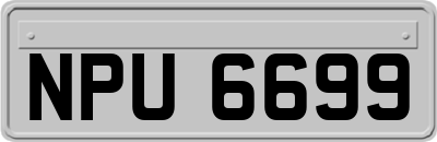NPU6699