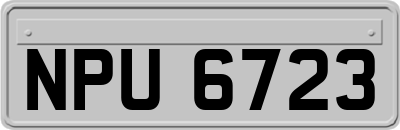 NPU6723