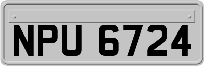 NPU6724